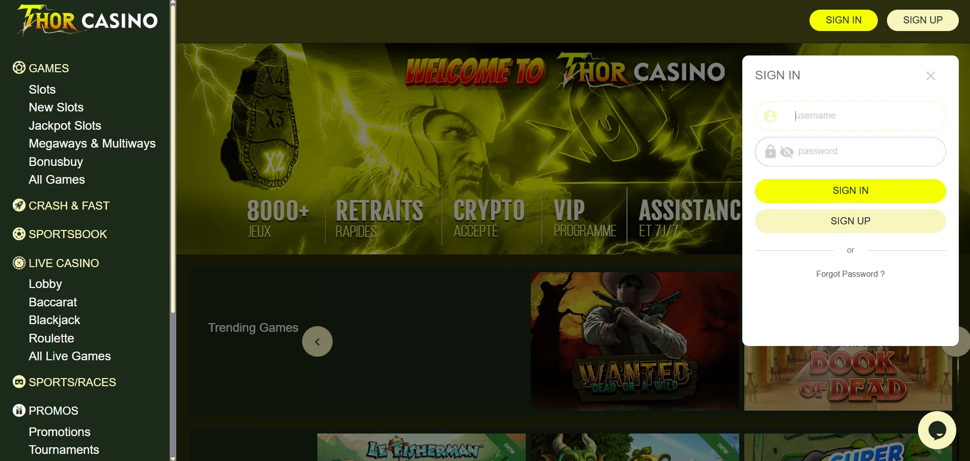 Thor Casino : connexion à l'application